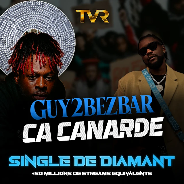 Certification Diamant de Bolémvn x Guy2Bezbar