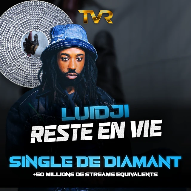 Certification Diamant de Luidji