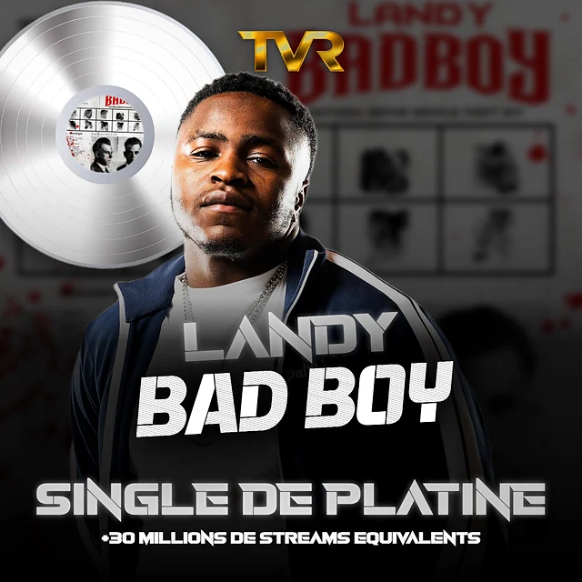 Certification Platine de Landy