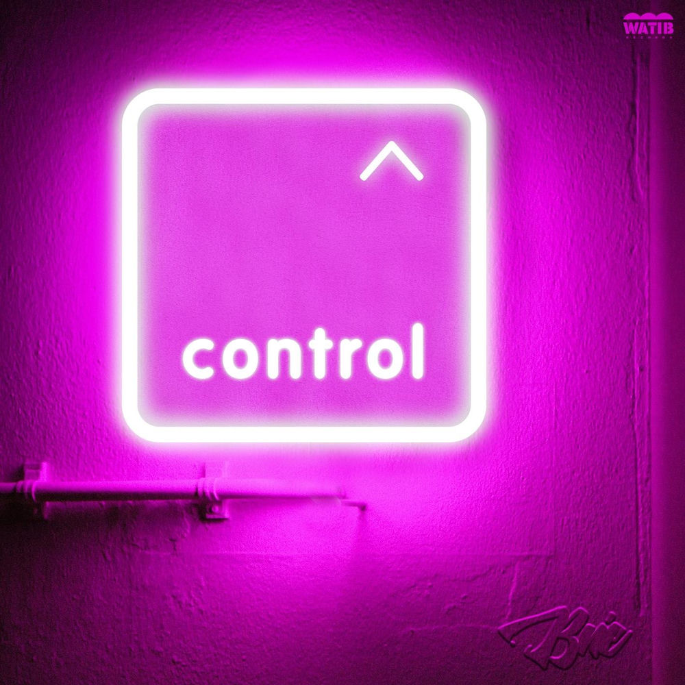 Control (feat. Rsko) (Remix)