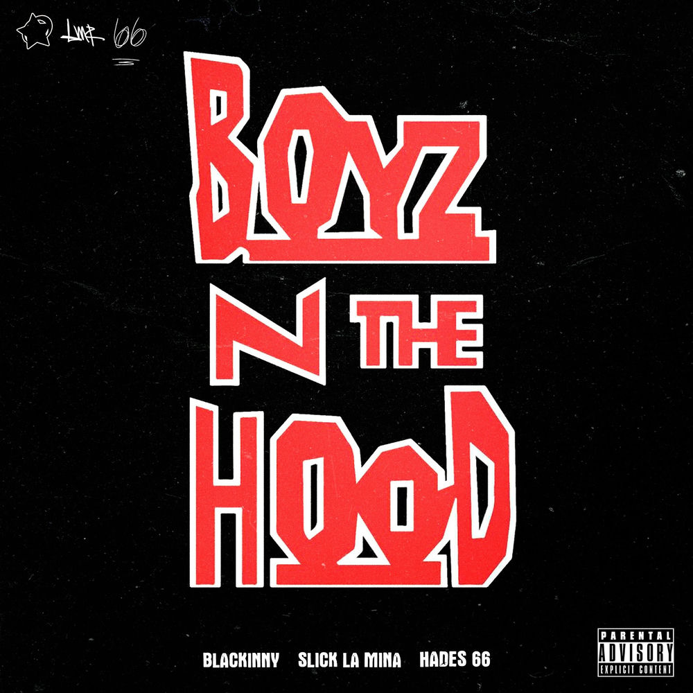 BOYZ N THE HOOD