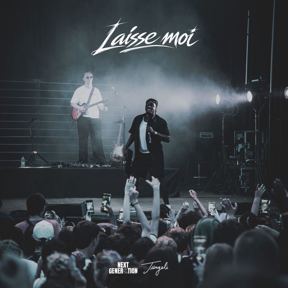 Laisse moi