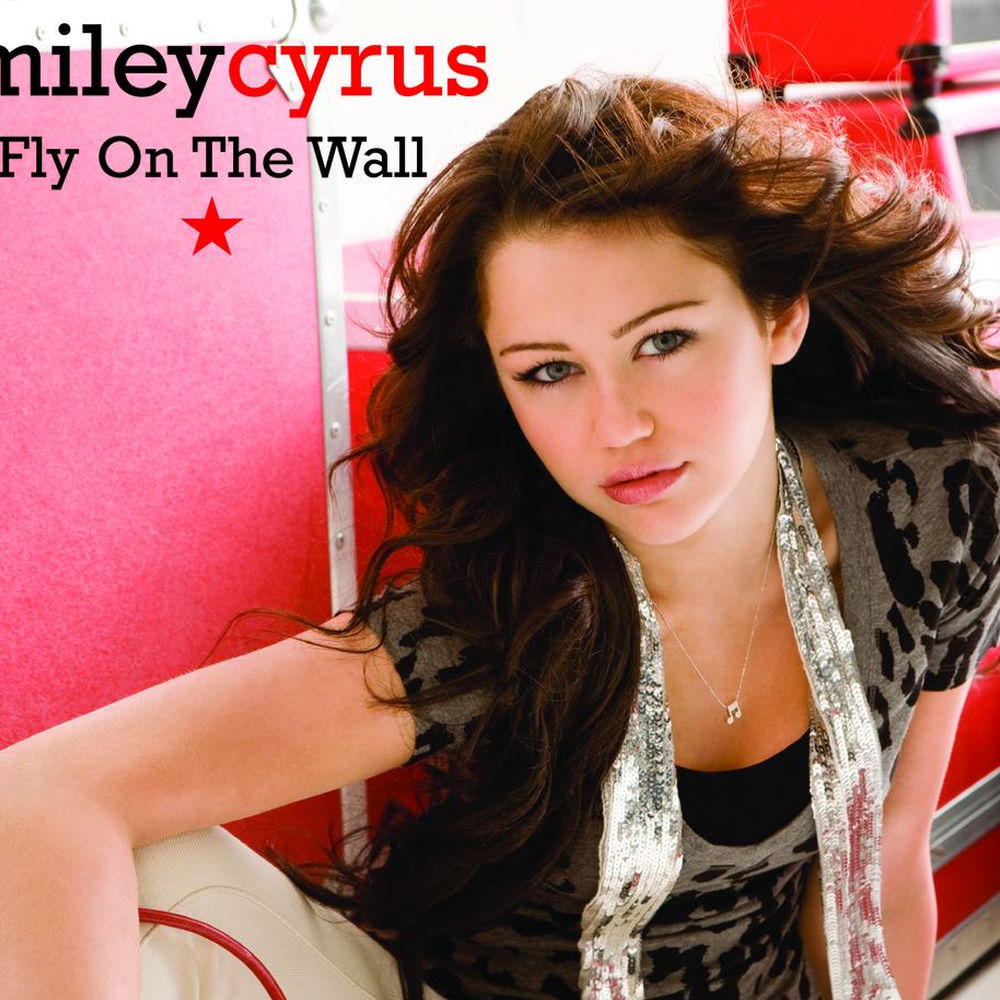 Fly on the Wall