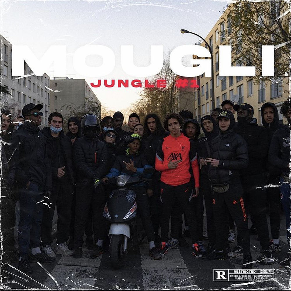 Jungle #1