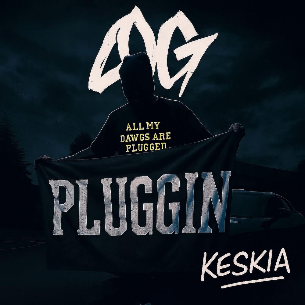 Pluggin (KESKIA)