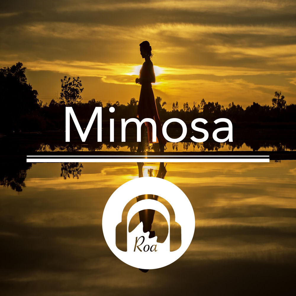 Mimosa