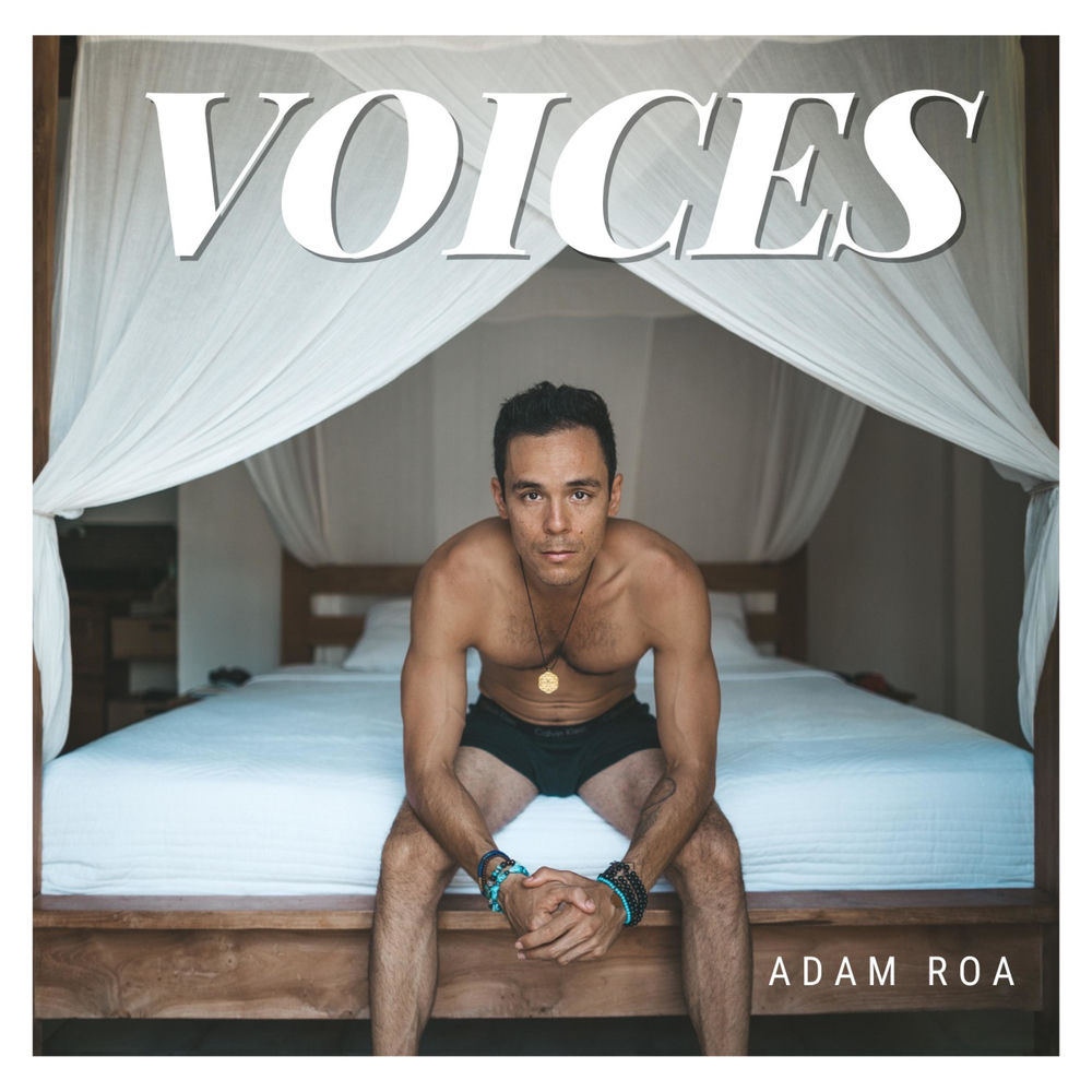 Voices (feat. Brendan Martin)