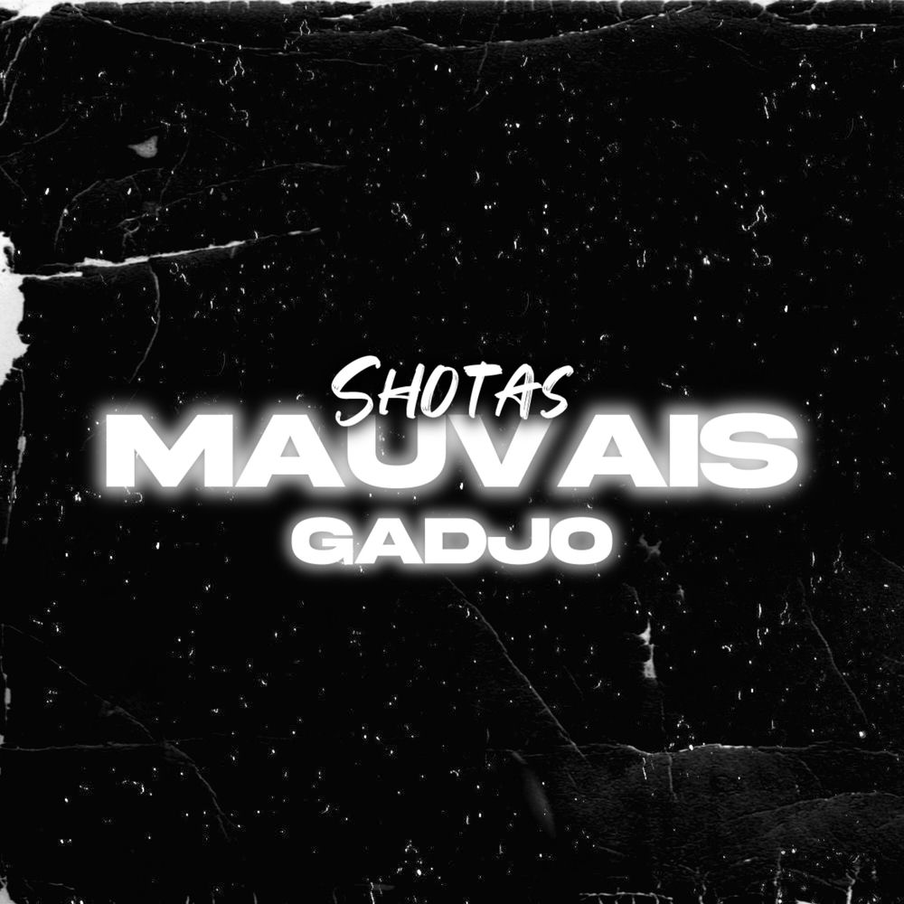Mauvais gadjo